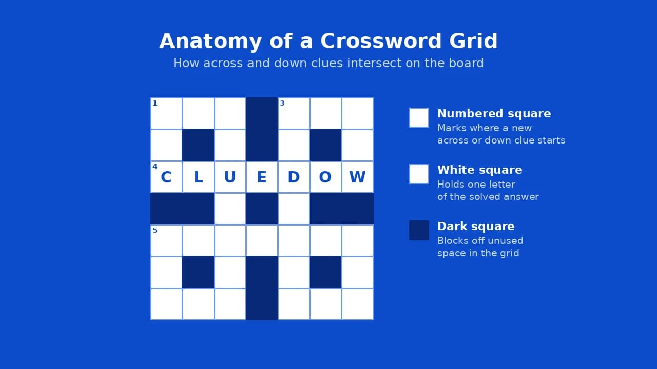 Crossword grid anatomy showing across and down numbered square patterns.